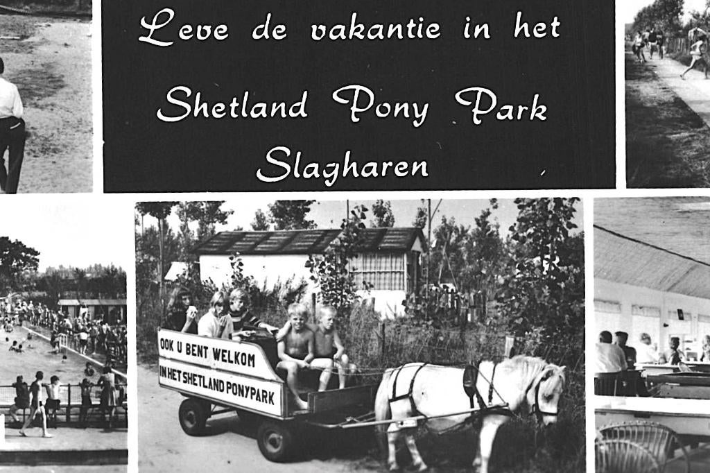 991325 Slagharen Shetland Pony Park O 1966 Gelopen met zegel, Ophalen of Verzenden, 1960 tot 1980, Gelopen, Overijssel