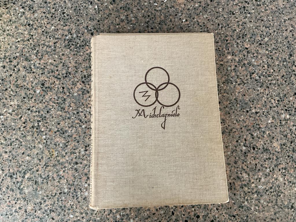 Boek Michelangelo: Schilderijen, Beelden, Architectuur, Ophalen of Verzenden, Gelezen, Overige onderwerpen