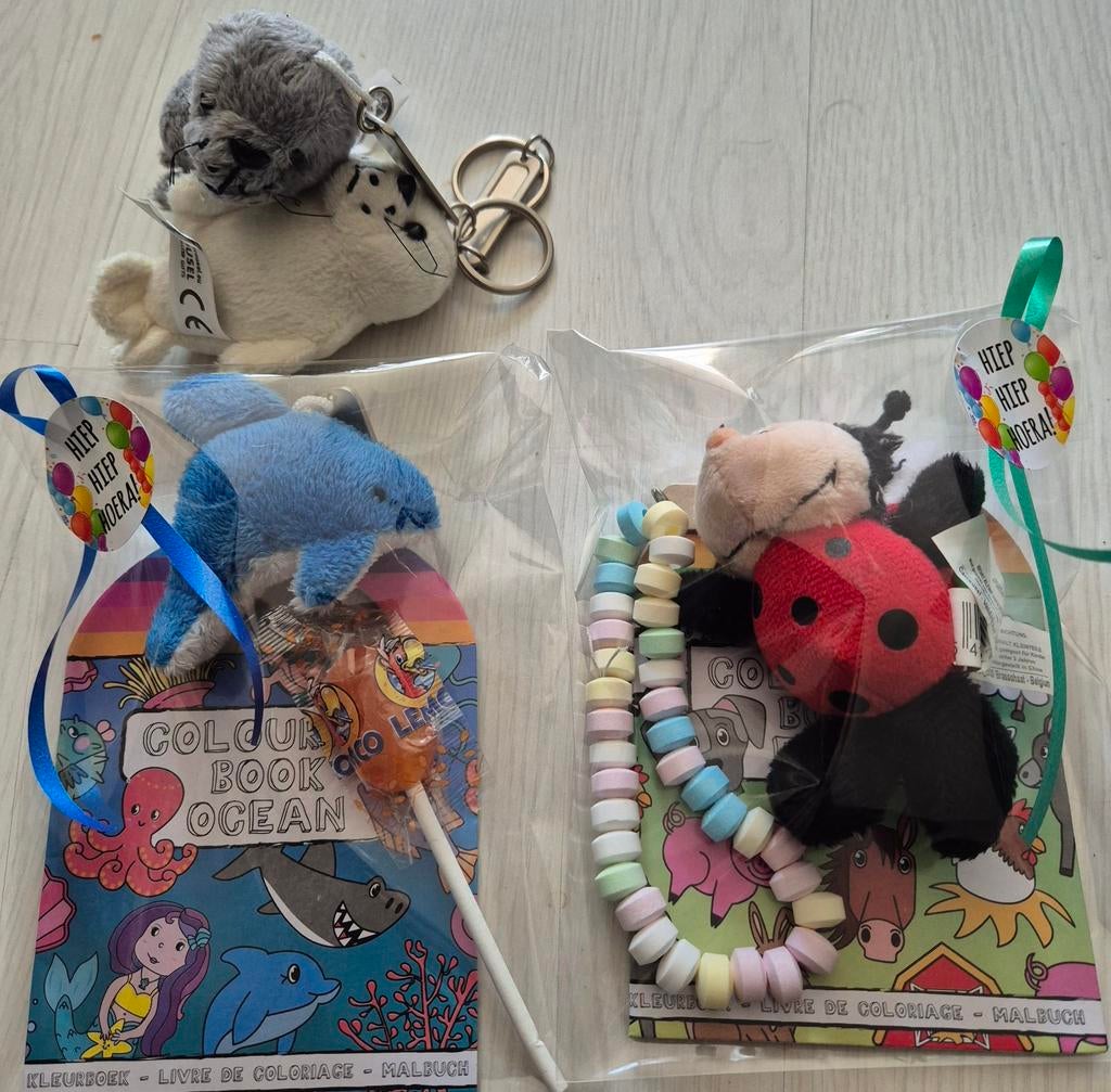 Traktatie kleurboekje+pluche sleutelhanger+snoepje 1.75, Ophalen of Verzenden, Nieuw, Feestartikel, Verjaardag