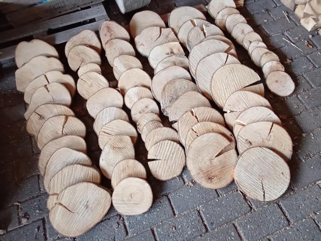 Prachtige beuken boomschijven, 50 stuks, gedroogd, Ophalen, Minder dan 25 mm, Nieuw, Plank