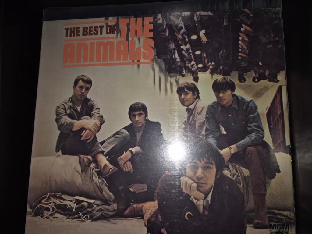 Animals, Verzenden, Zo goed als nieuw, Overige formaten, Poprock