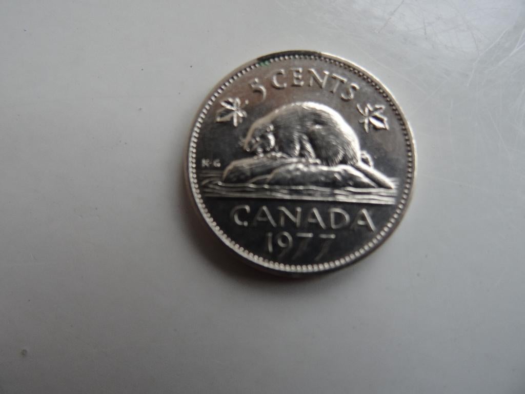 5 cent munt Canada 1977, Ophalen of Verzenden, Noord-Amerika, Losse munt