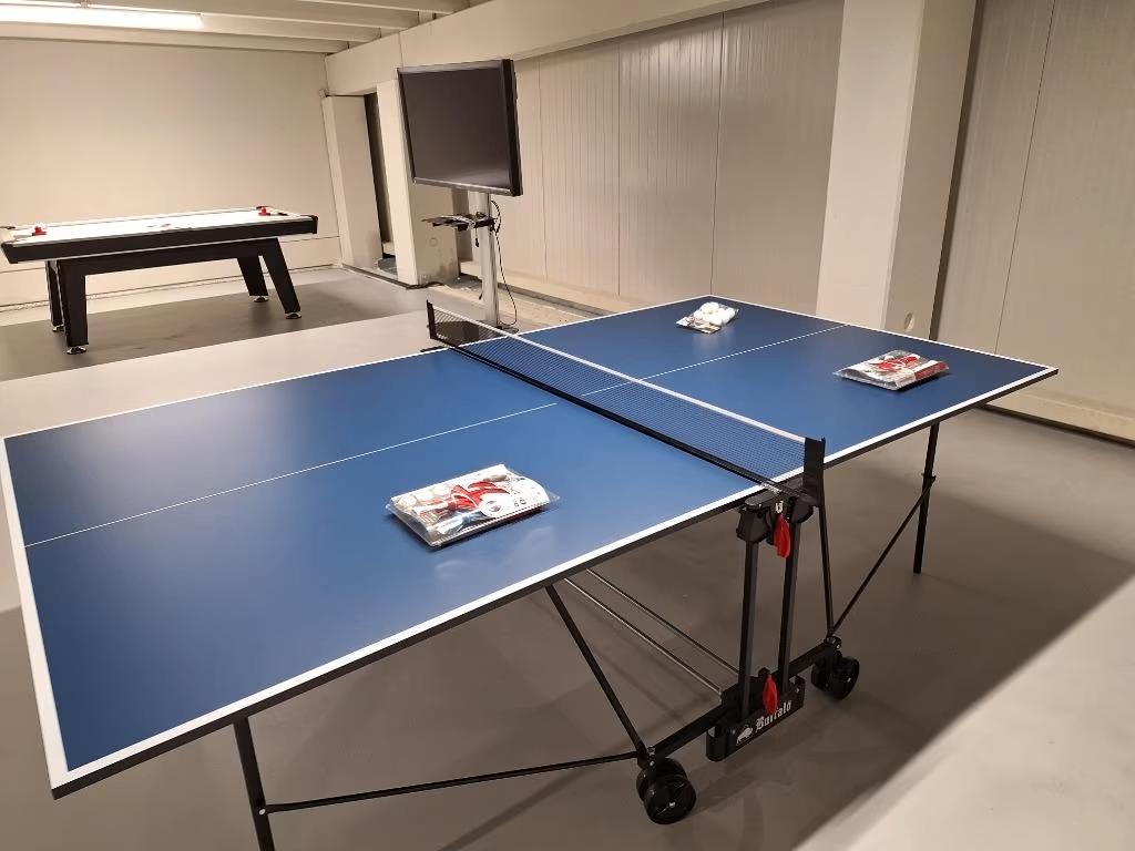 Tafeltennis tafel outdoor - Tennistafel - Tennis - Speeltafe, Sport en Fitness, Tafeltennis, Cave & Garden, Verzenden, Nieuw, Net, Batje(s) of Balletje(s)