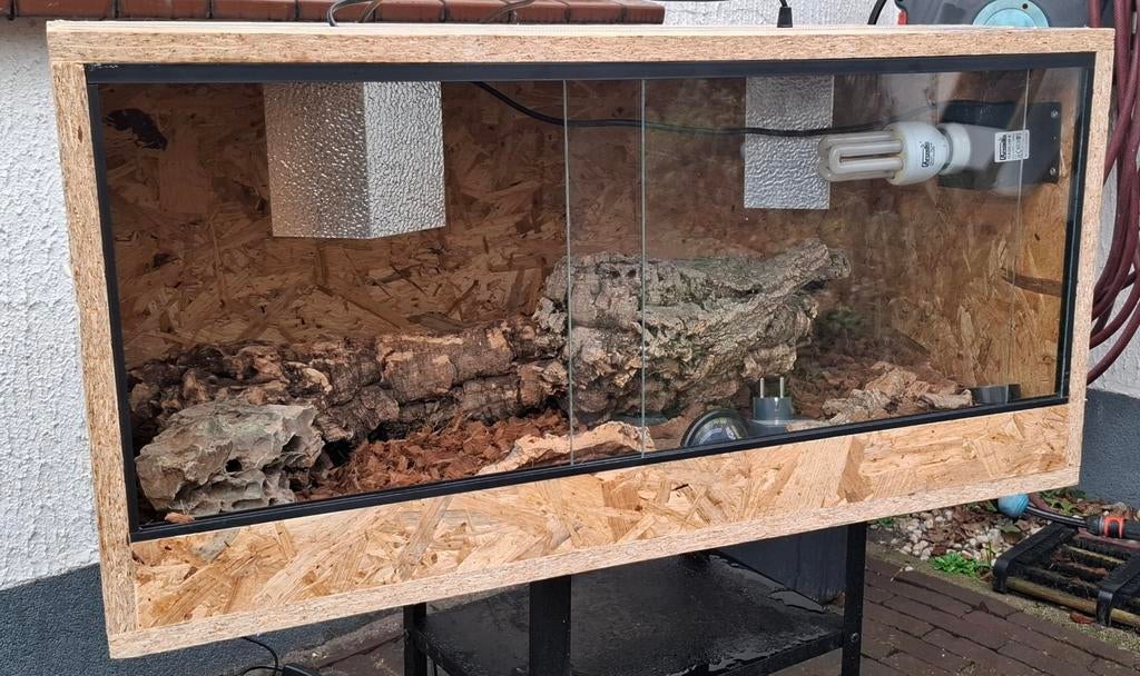 Mooi terrarium voor slangen en hagedissen, Dieren en Toebehoren, Reptielen en Amfibieën | Toebehoren, Ophalen, Zo goed als nieuw