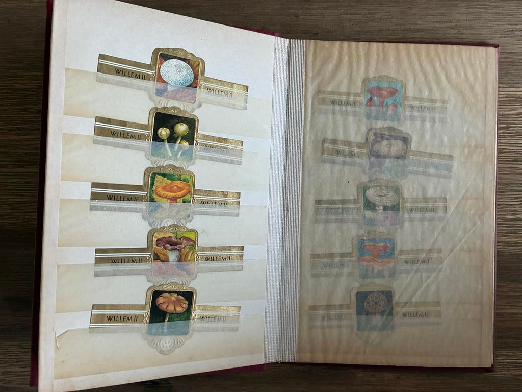 Willem II Sigarenbandjes Verzameling - Jaren '70, Ophalen of Verzenden