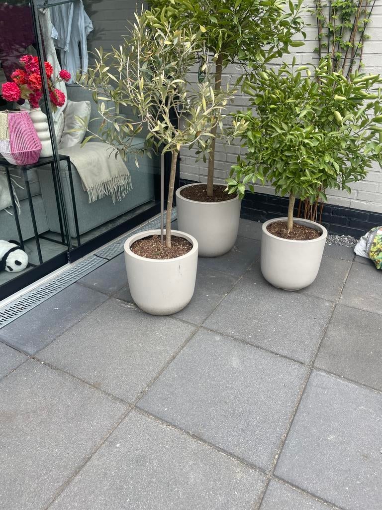 Tuinpotten set! Bloempotten plantenbakken, Gebruikt, 40 cm of meer, Rond, Ophalen of Verzenden