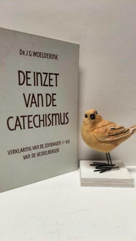 Woelderink, Dr. J.G.; De inzet van de Catechismus, Ophalen of Verzenden, Gelezen, Christendom | Protestants