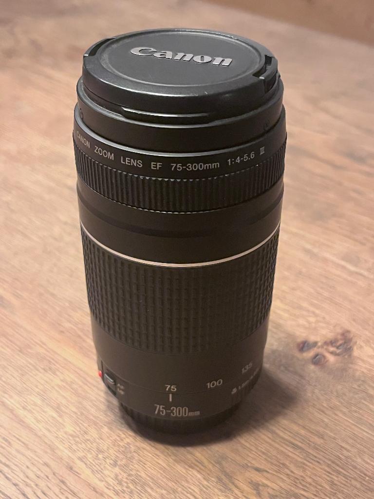 Canon EF 75-300mm lens, Ophalen of Verzenden, Telelens