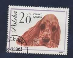 Fauna - Dieren - Honden - Polen - 20 Gr (2) - Spaniel - gebr, Ophalen of Verzenden, Gestempeld, Dier of Natuur