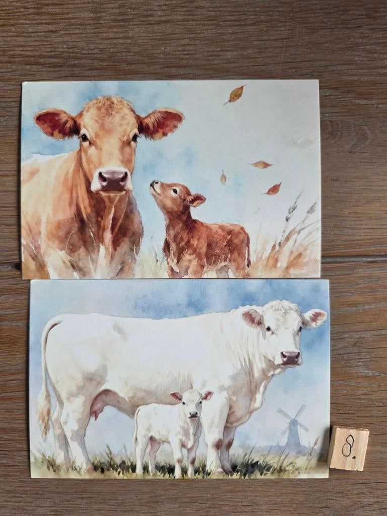 KOEIEN 8, Verzamelen, Ophalen, Voor 1920, Hond of Kat