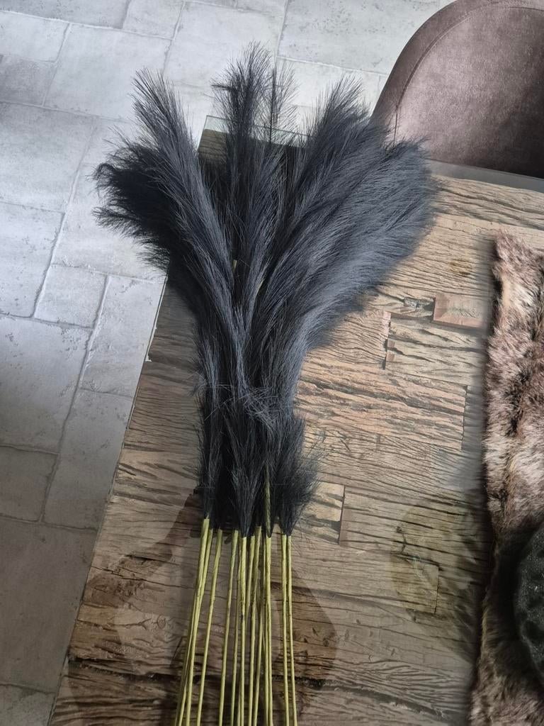 Pampas pluimen - 15 stuks,, Ophalen, Nieuw