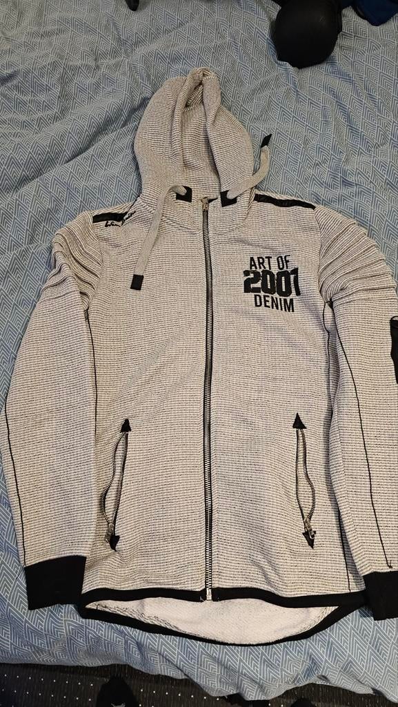 Heren vest met capuchon - Goede kwaliteit - Maat M, Kleding | Heren, Truien en Vesten, Gedragen, Maat 48/50 (M), Grijs, Ophalen of Verzenden