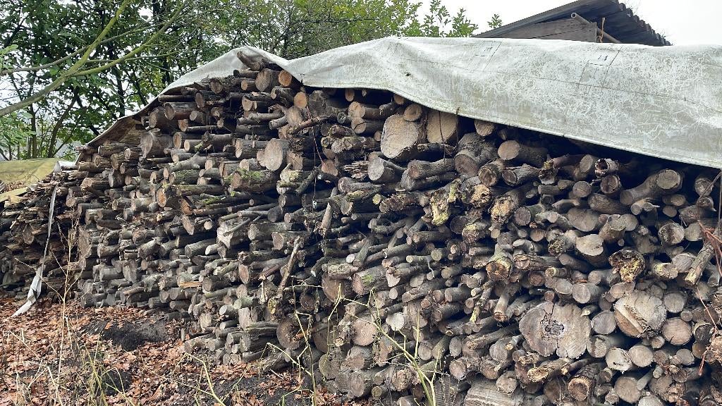 Kachelhout/haardhout te koop, 60 euro per m3, 6 m³ of meer, Ophalen, Overige houtsoorten, Stammen