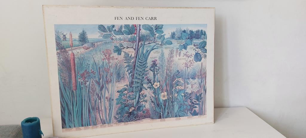 Schoolplaat schoolkaart thema het ven, Fen and Fen Carr, Verzamelen, Ophalen, Gebruikt