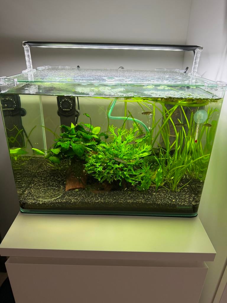 Dennerle nano cube 45 liter, Ophalen, Leeg aquarium