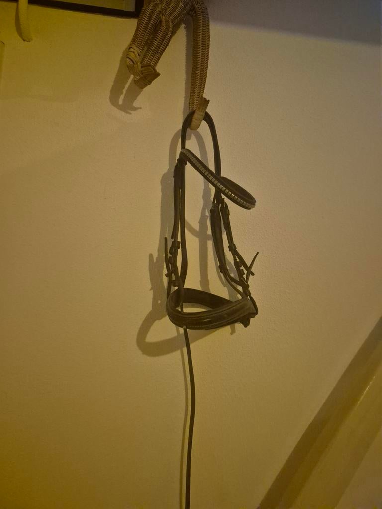 Shetlander hoofdstel – zonder bit en teugels, Ophalen, Zo goed als nieuw, Recreatie