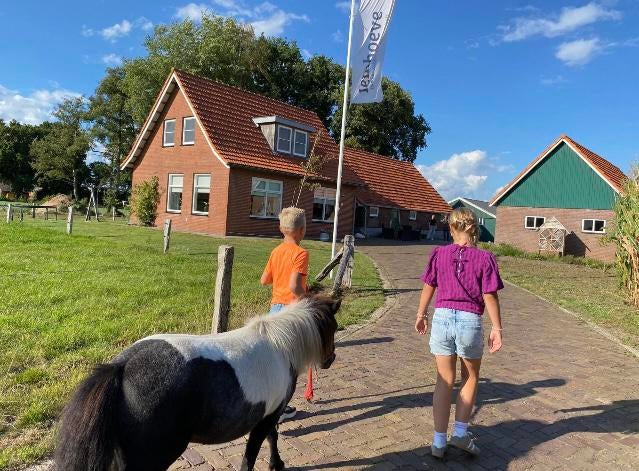 Vakantiewoning De Iemhoeve, Vakantie, Vakantiehuizen | Nederland, 4 of meer slaapkamers, In bos, Overijssel, Landelijk