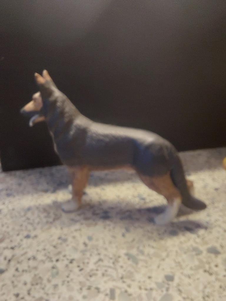 Duitse herder, Ophalen of Verzenden