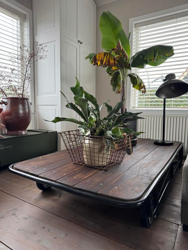 Transportkar tafel plantenkar orangerie plantentafel, Ophalen