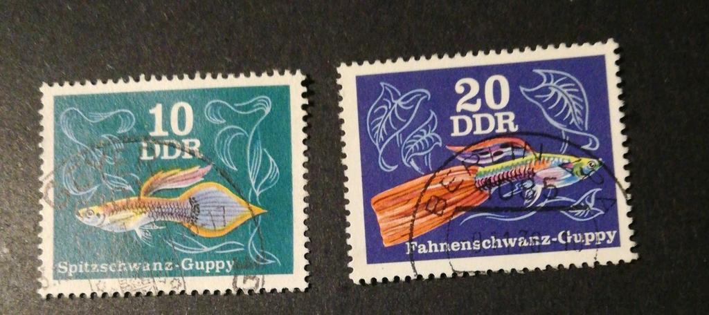 DDR 1976 Michel 2176 en 2178, Ophalen of Verzenden, DDR