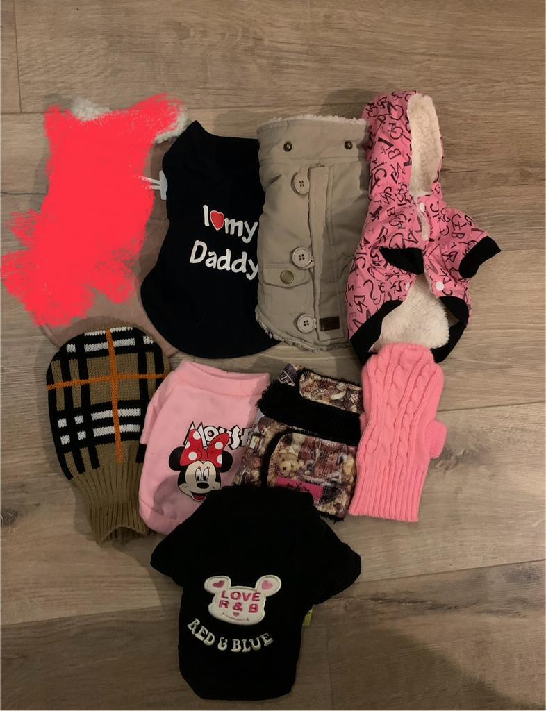 Chihuahua truitjes/jasjes, €3,00 per stuk, Ophalen of Verzenden, Zo goed als nieuw