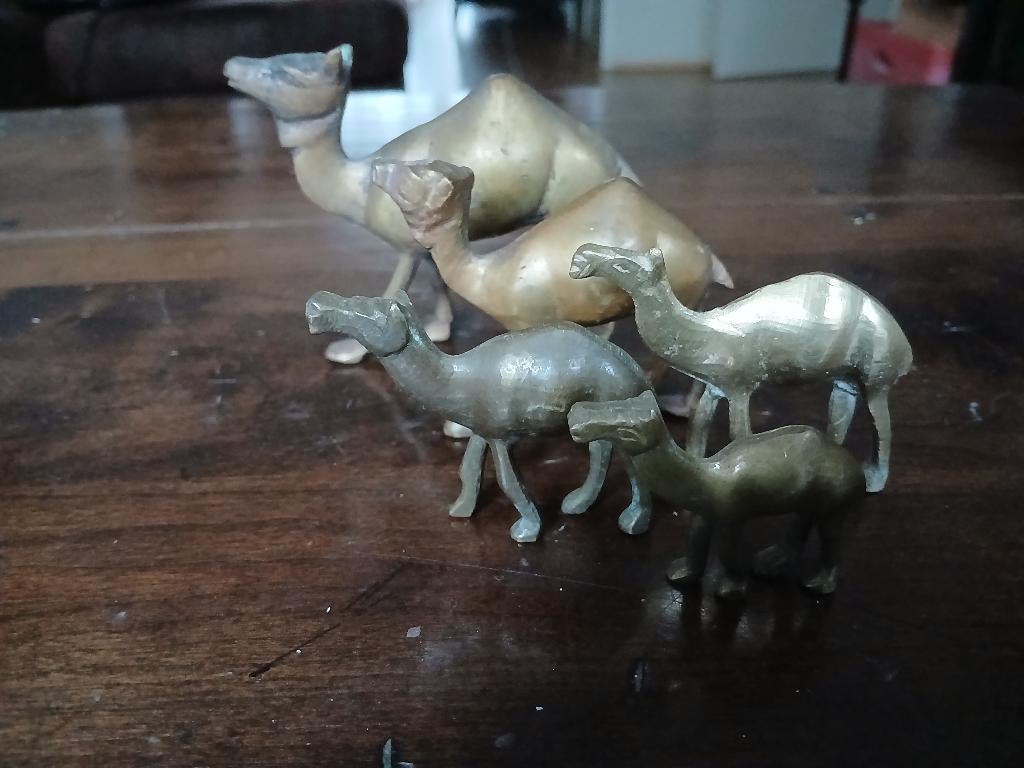 5 messing kamelen, Verzamelen, Dierenverzamelingen, Ophalen of Verzenden, Gebruikt, Boerderijdier, Beeldje of Figuurtje