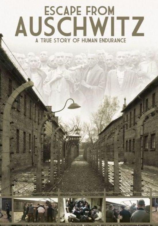 Escape from Auschwitz-S.Pertwee/y.bauer/wwii/wo2 DVD Nw./Ver, Cd's en Dvd's, Dvd's | Documentaire en Educatief, Vanaf 12 jaar