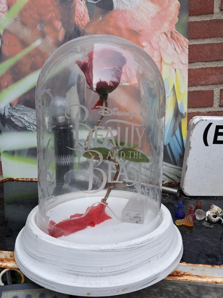 Disney beauty beast, Ophalen, Assepoester of Belle, Beeldje of Figuurtje