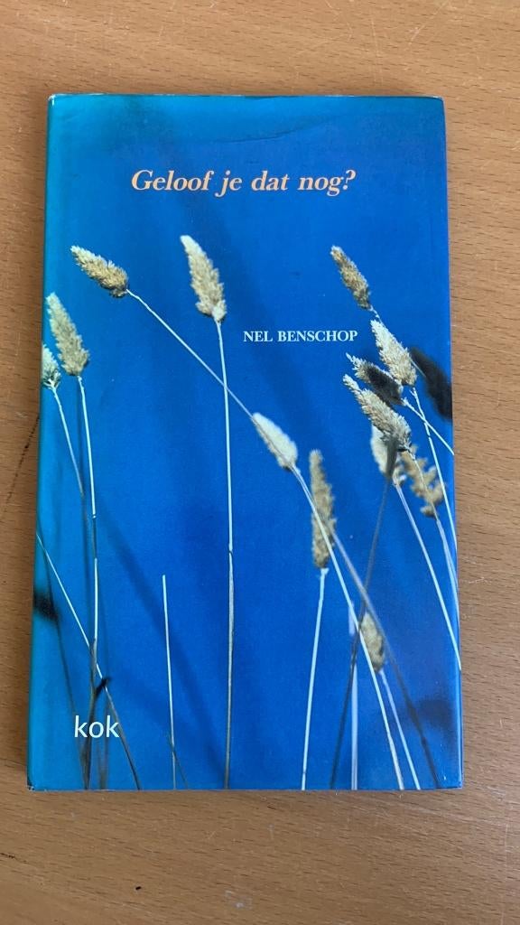 Geloof je dat nog? - Nel Benschop, Ophalen of Verzenden