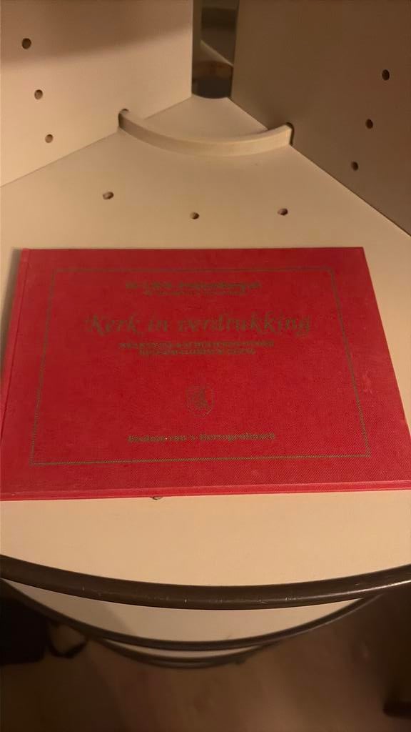 Boek: Kerk in verdrukking, brabantse katholieken, Boeken, Geschiedenis | Stad en Regio, Ophalen of Verzenden