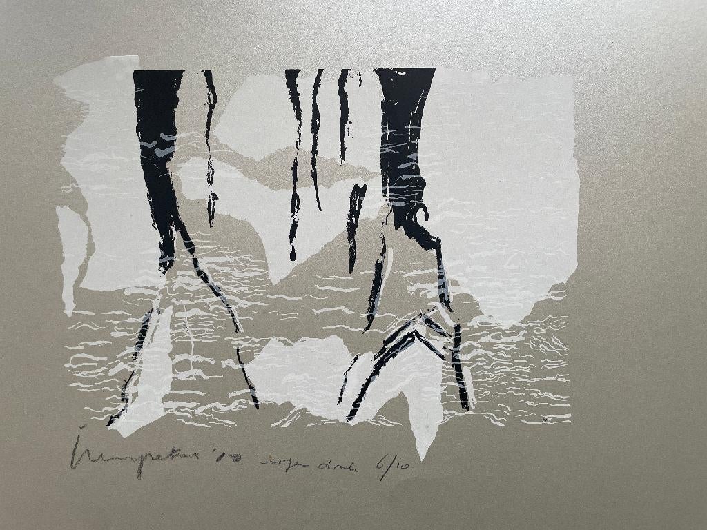 Reflecties in het water 1980? eigen druk 6/10, Antiek en Kunst, Kunst | Litho's en Zeefdrukken, Ophalen of Verzenden