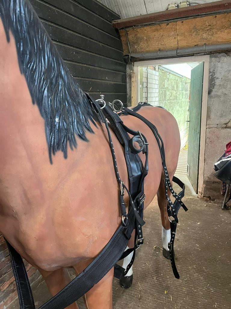 Nieuw nylon enkelspan tuig maat full en mini shet, Dieren en Toebehoren, Ophalen of Verzenden, Nieuw, Overige soorten