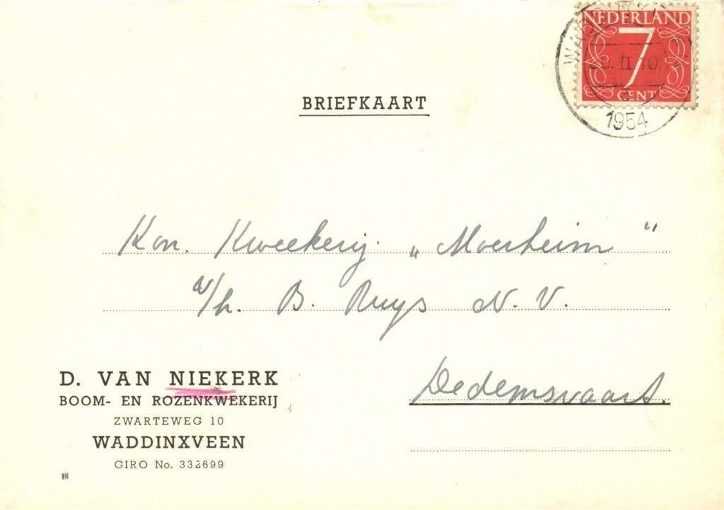 D. van Niekerk, Waddinxveen - 02.1954 - briefkaart, Ophalen of Verzenden, Briefkaart