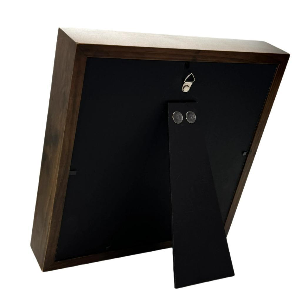 Palamnaeus fulvipes schorpioen passe partout lijst 25x25 cm, Verzamelen, Ophalen of Verzenden, Nieuw, Insect, Opgezet dier