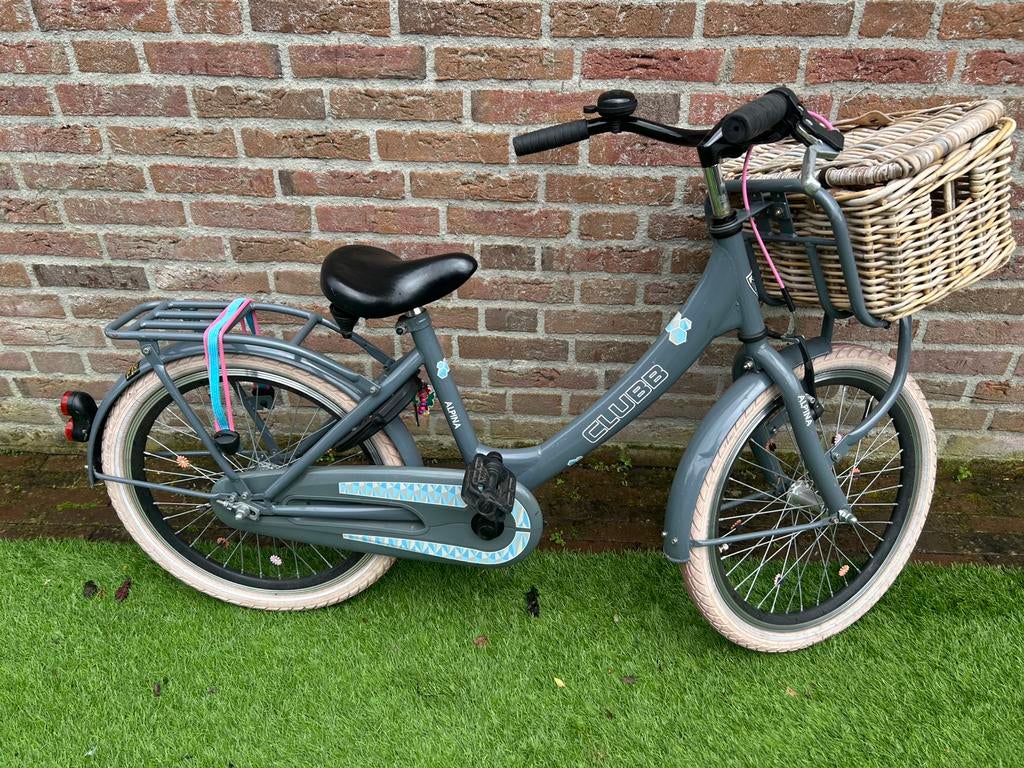 Alpina clubb 20 inch meisjesfiets, Ophalen, Zo goed als nieuw, 20 inch