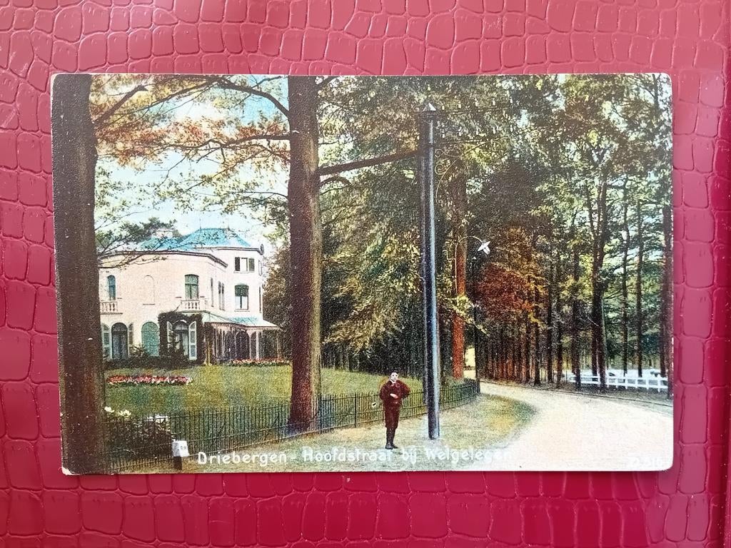 Ansichtkaart Driebergen, Ophalen of Verzenden, Utrecht
