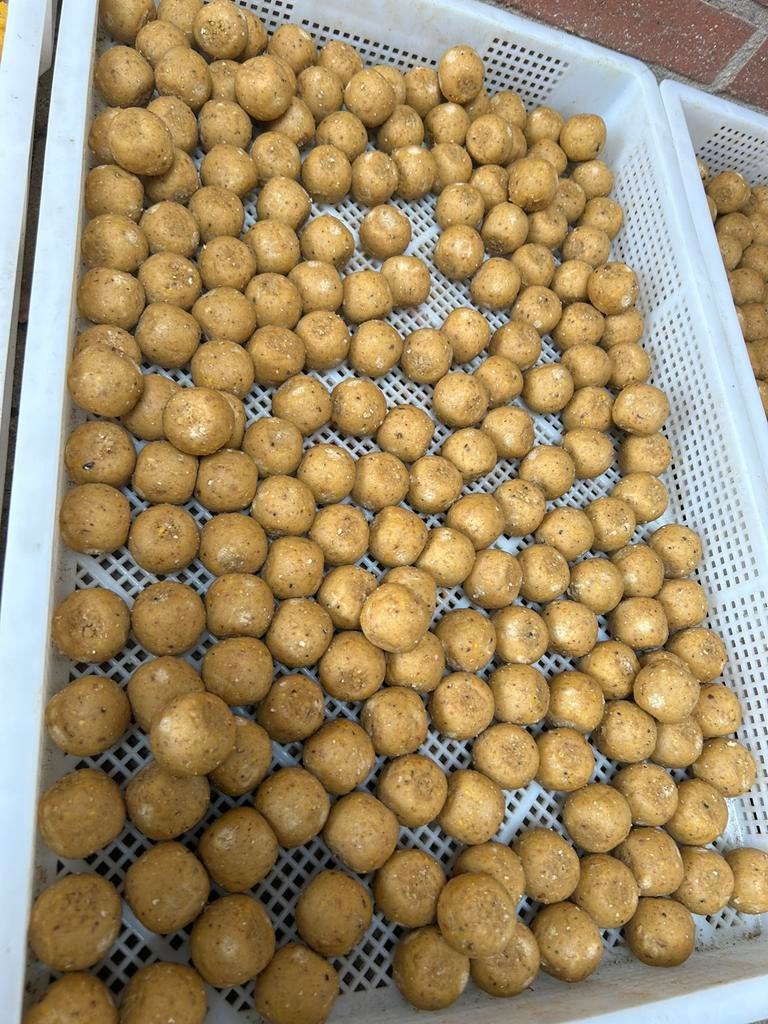 Rivier/groot water boilies goedkoop bulk prijs, Watersport en Boten, Ophalen of Verzenden, Nieuw, Overige typen