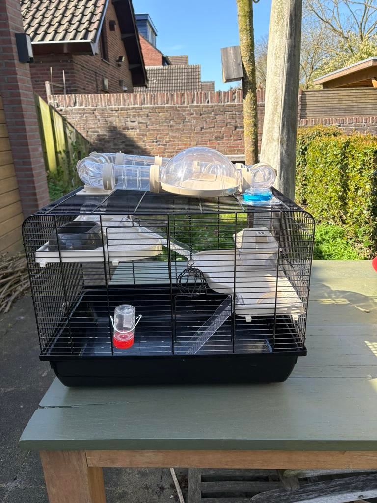 Hamster kooi. Beige/zwart, Dieren en Toebehoren, Kooi, Minder dan 75 cm, Zo goed als nieuw, Hamster