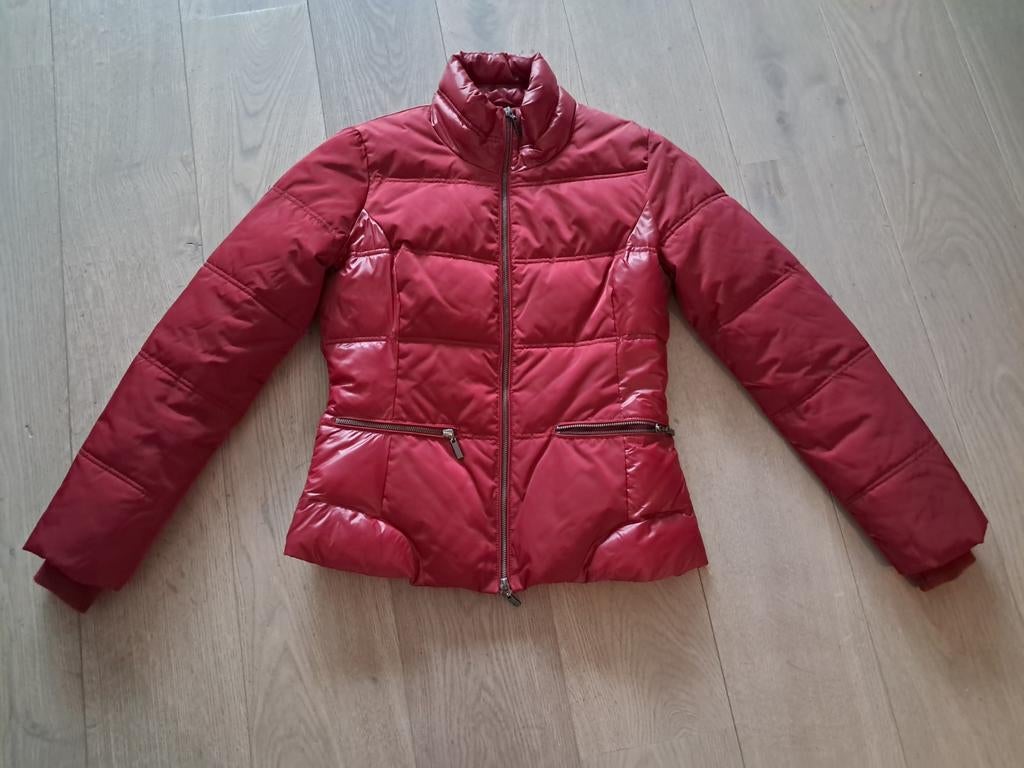 Sandwich bomberjack maat 38 in wijnrood, Kleding | Dames, Maat 38/40 (M), Ophalen of Verzenden, Sandwich, Gedragen