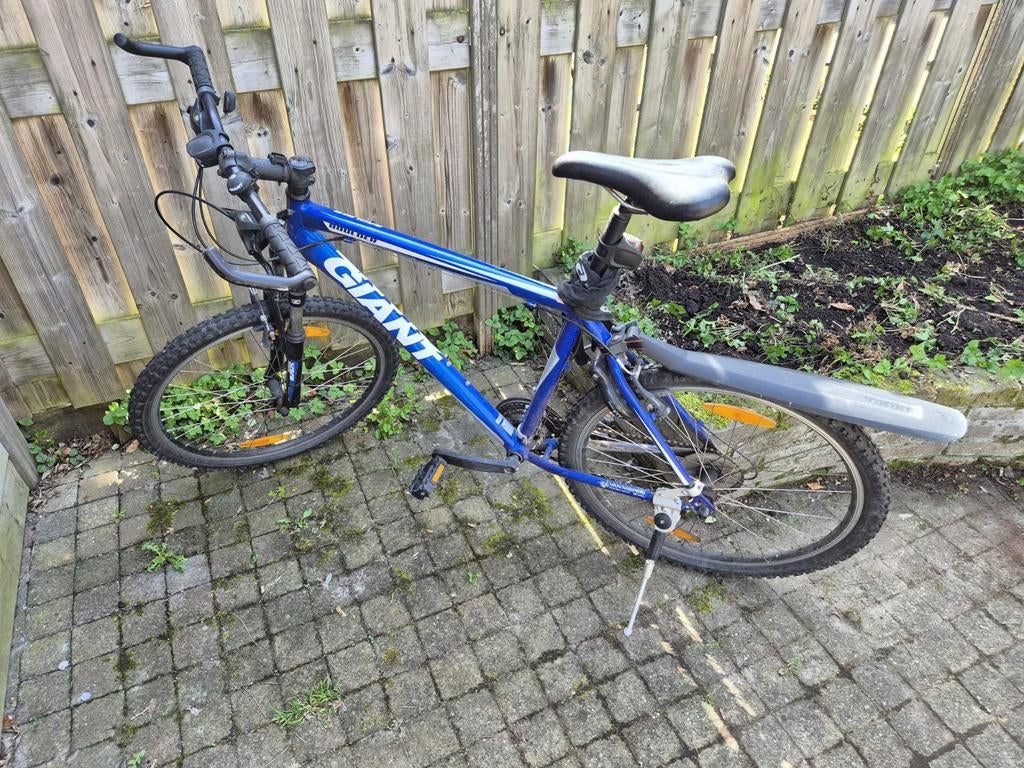 Giant Boulder Fiets - Blauw, Goede Staat, Ophalen, Gebruikt, Giant
