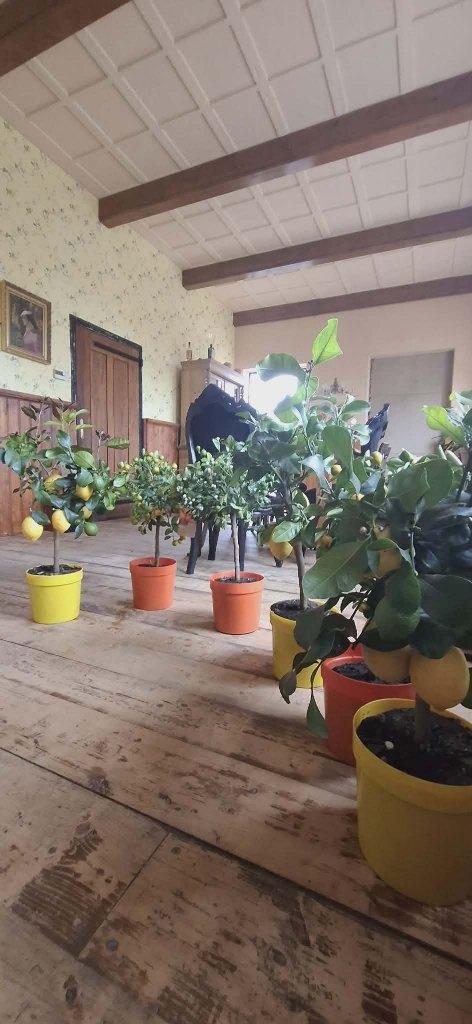 Sfeervolle LOFT van ongeveer 220m2 in oude melkfabriek, 220 m², Oudwoude, Direct bij eigenaar, 3 kamers