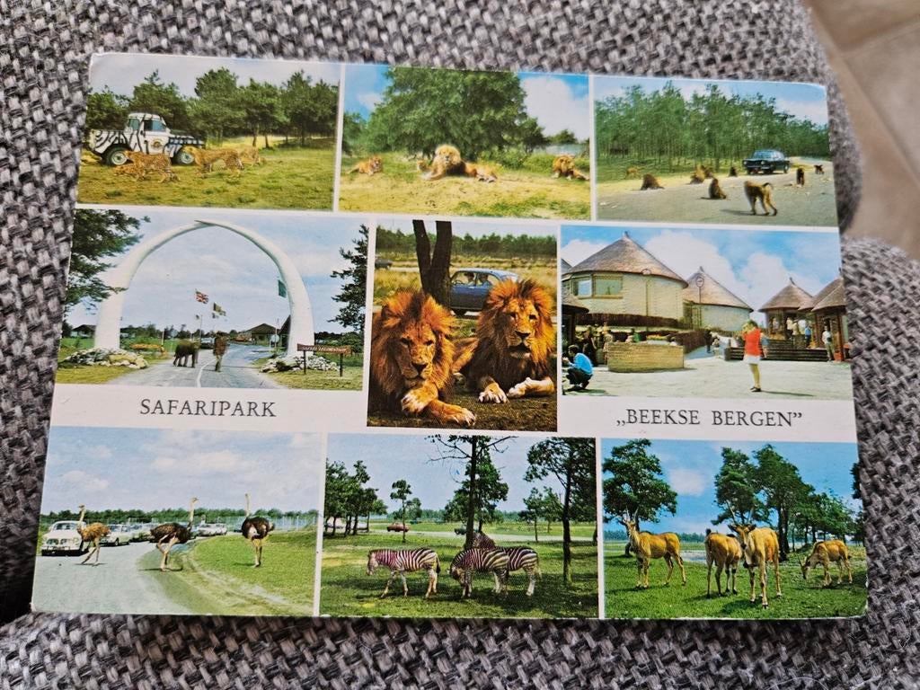 Safaripark Beekse Bergen safaripark, Ophalen of Verzenden