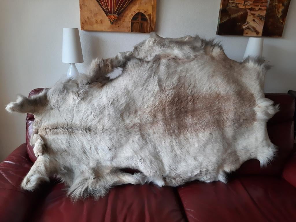 Te koop Steenwijk, Ophalen of Verzenden