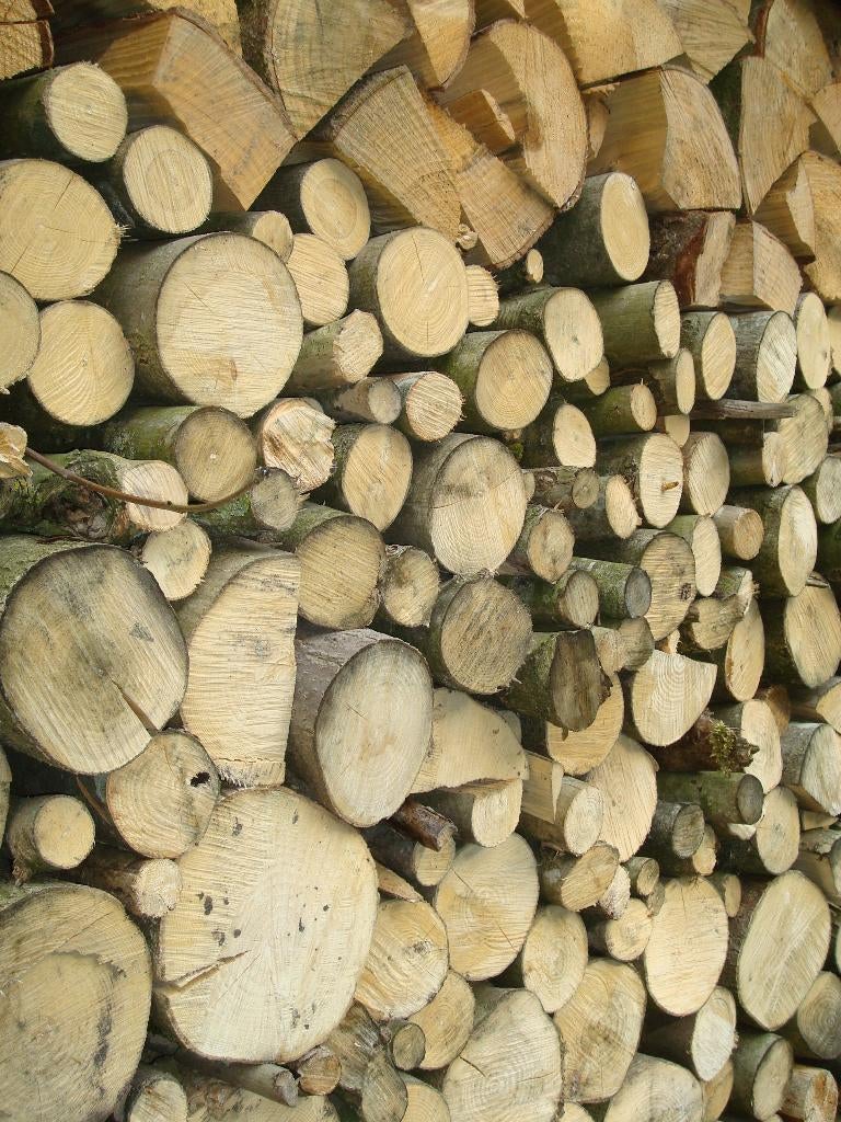 haardhout kachelhout gedroogd 2,5 m3 aanbieding, Tuin en Terras, Haardhout, Minder dan 3 m³, Ophalen