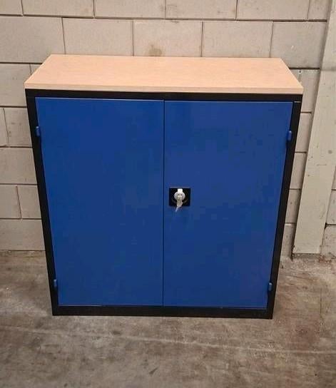 Archiefkast van metaal, Huis en Inrichting, Kasten | Roldeurkasten en Archiefkasten, Ophalen of Verzenden, Zo goed als nieuw, 25 tot 50 cm
