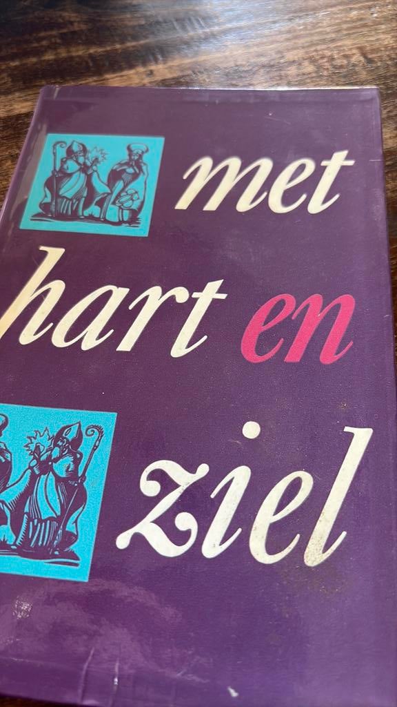 Boek Heemstede augustinessen marienheuvel, Ophalen of Verzenden, Zo goed als nieuw