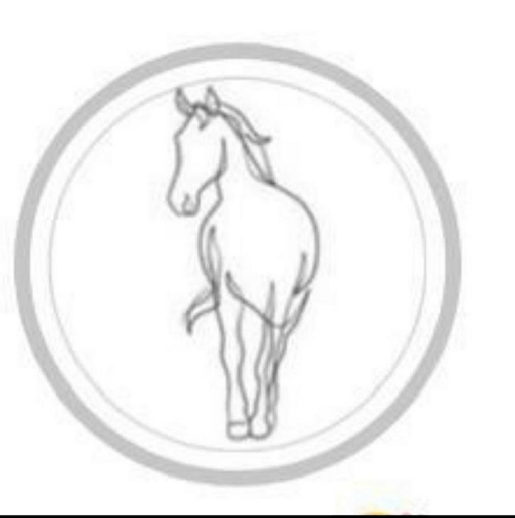 Dressuur/Spring Instructie Aangeboden, Ophalen