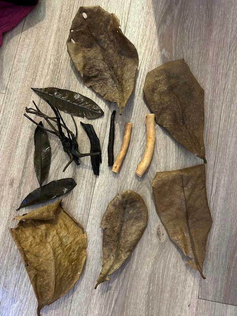 Catappa bladeren & xs kienhout, Ophalen of Verzenden, Zo goed als nieuw, Plant(en), Steen of Hout