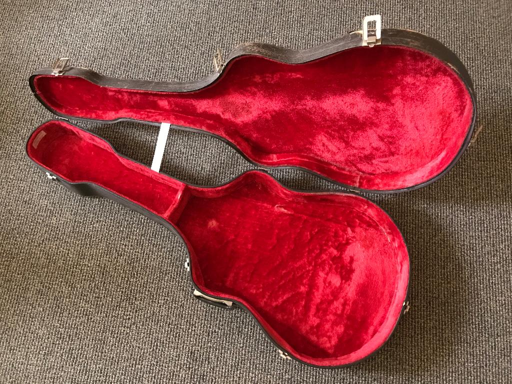 Gitaarkoffer vintage, Muziek en Instrumenten, Ophalen of Verzenden, Gebruikt, Semi-solid body, Overige merken