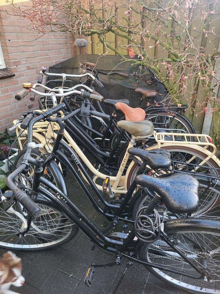 15 fietsen handel export, Fietsen en Brommers, Ophalen of Verzenden